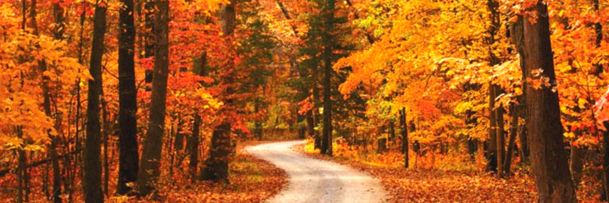 The Innsbrook Half Marathon & 10k