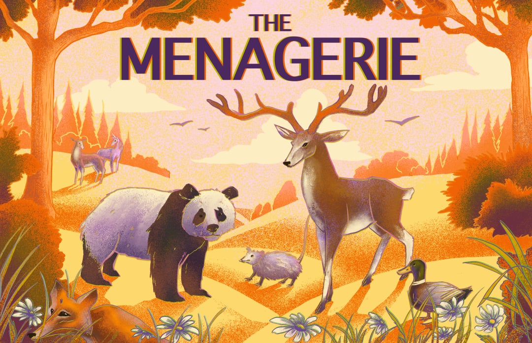 The Menagerie